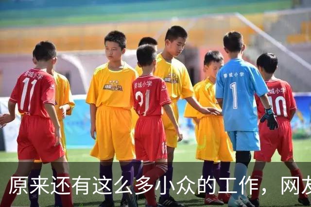 原来还有这么多小众的工作，网友：每天盈利2万