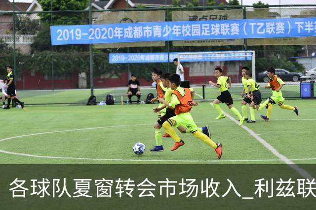 各球队夏窗转会市场收入 利兹联1.629亿高居榜首