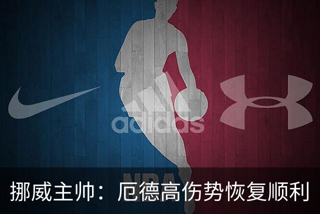 挪威主帅：厄德高伤势恢复顺利