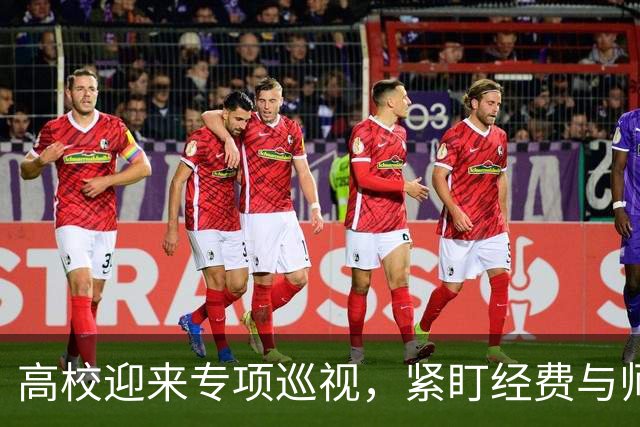 高校迎来专项巡视，紧盯经费与师德，清除少数校园蛀虫