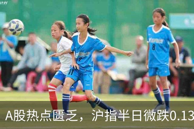 A股热点匮乏，沪指半日微跌0.13%